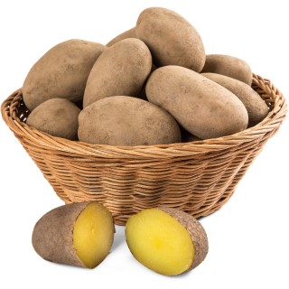 Brambory konzumní rané Česká republika - balení 5 kg