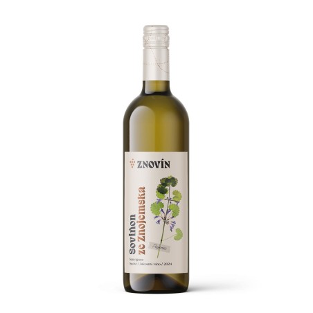 Sauvignon 24 Suché